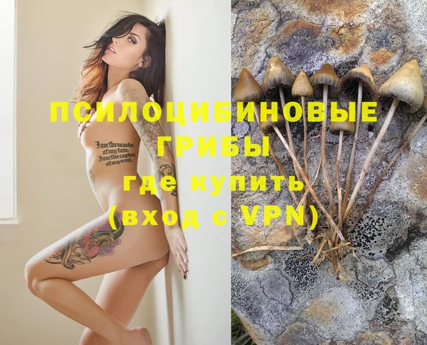 дурь Болохово
