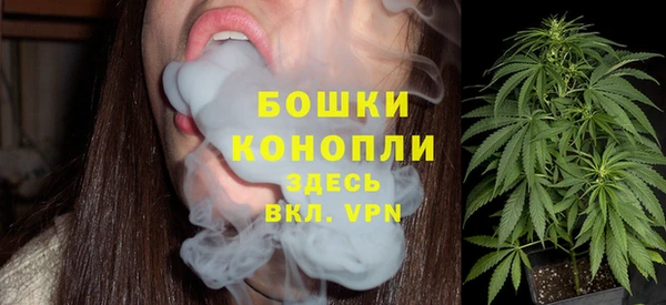 прущий лед Белокуриха