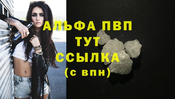 таблы Бородино